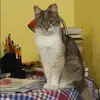 Отзыв от Анжелика Зайцева